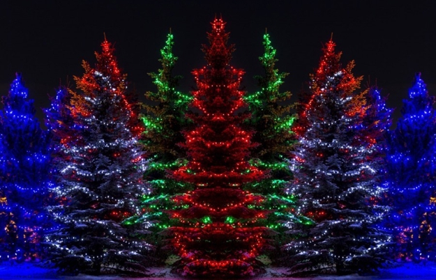 beautiful christmas tree holiday decor ideas