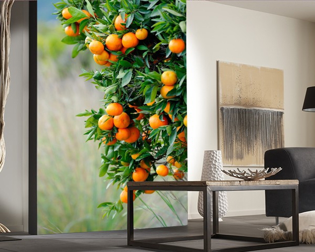 beautiful wallpaper patterns modern wall decorating ideas