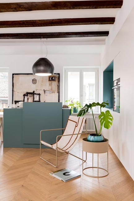 houseplants modern interior design