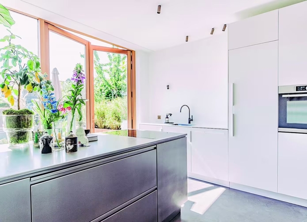 houseplants modern interior design