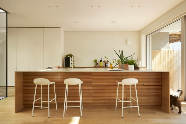 houseplants modern interior design