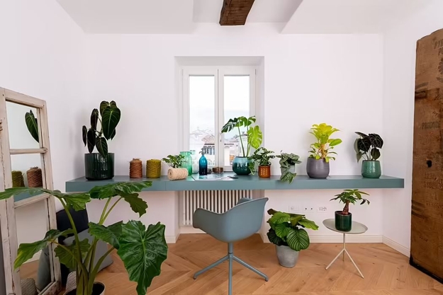 houseplants modern interior design