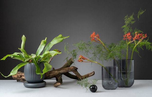 houseplants modern interior design
