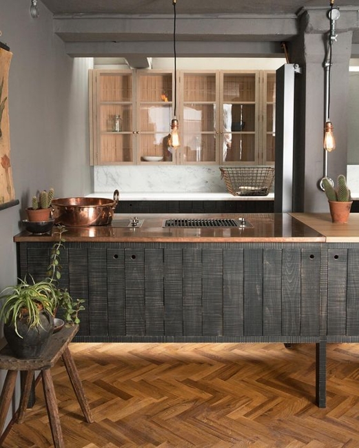 houseplants modern interior design