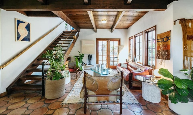 houseplants modern interior design