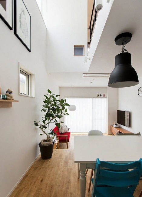 houseplants modern interior design