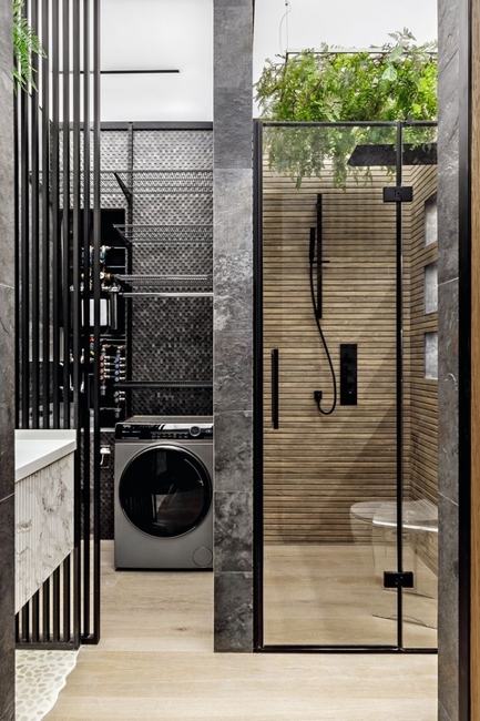 houseplants modern interior design