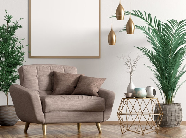 houseplants modern interior design