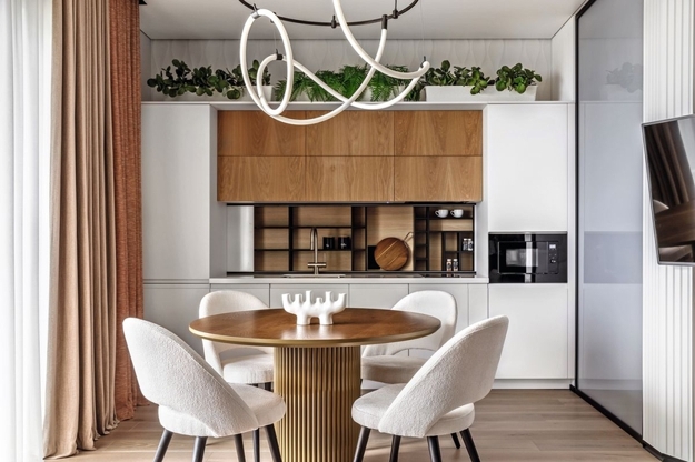 houseplants modern interior design