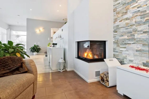 houseplants modern interior design