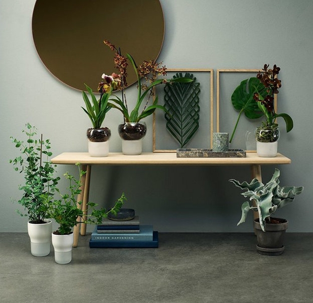 houseplants modern interior design