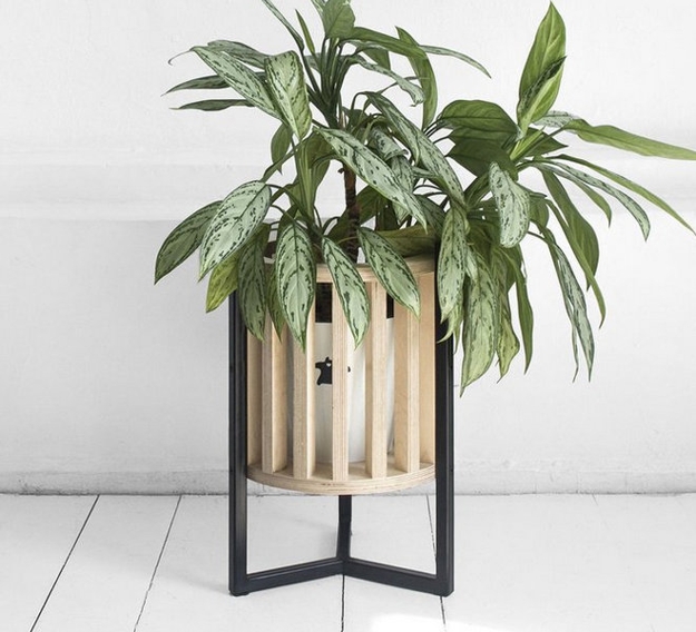houseplants modern interior design