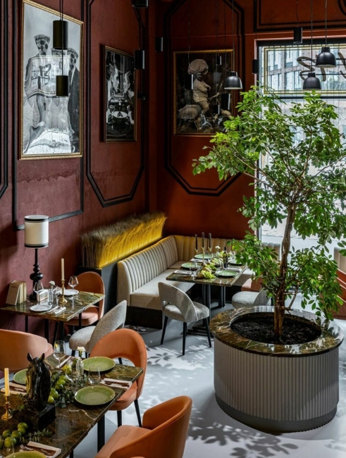 houseplants modern interior design