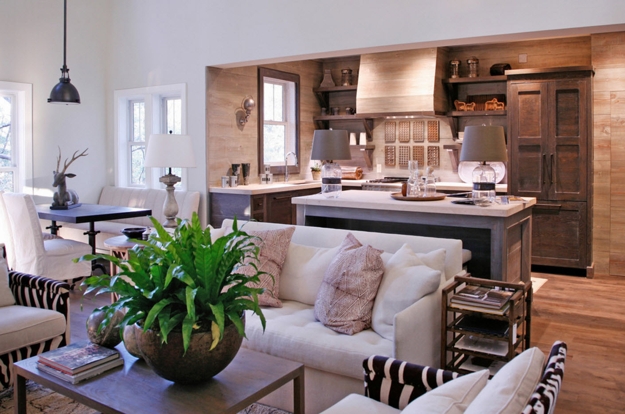 houseplants modern interior design