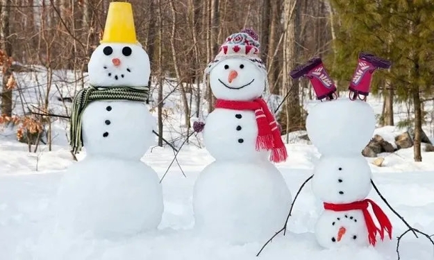 winter themed decorations original snowmen