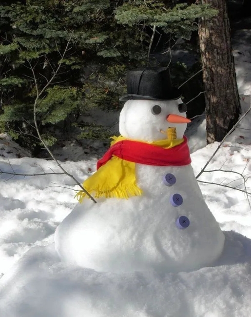 winter themed decorations original snowmen