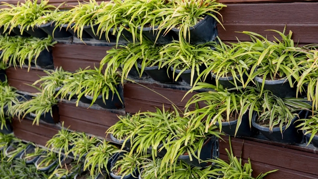 vertical gardens contemporary design