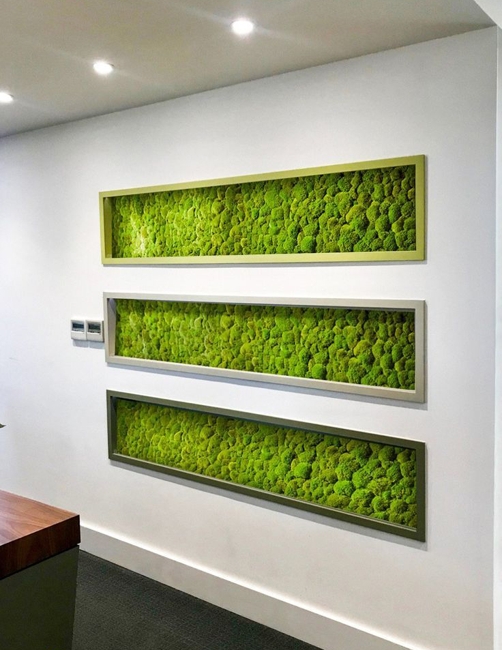 vertical gardens contemporary design