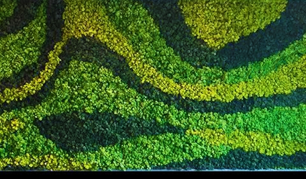 vertical gardens contemporary design