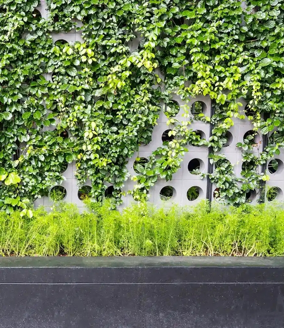 vertical gardens contemporary design