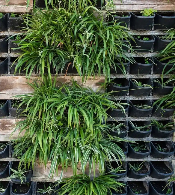 vertical gardens contemporary design