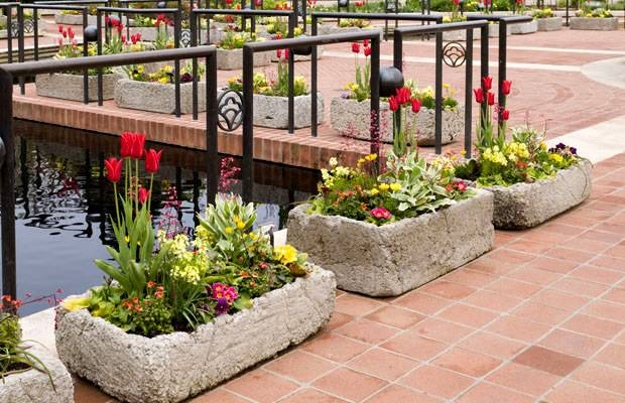 concrete planters flowers