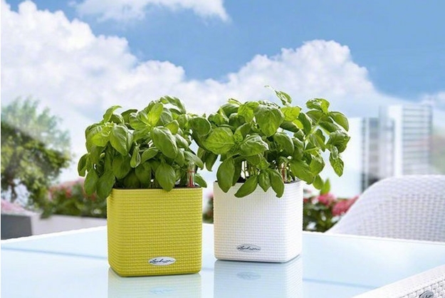 contemporary planters greenery flowering plants yard decorations