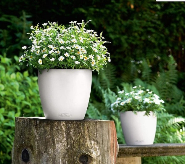 contemporary planters greenery flowering plants yard decorations