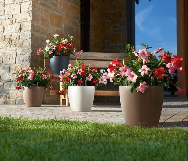 contemporary planters greenery flowering plants yard decorations