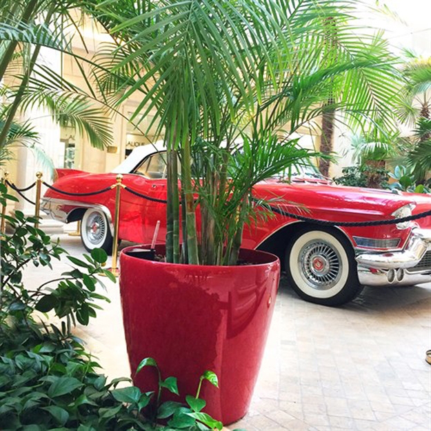 contemporary planters greenery flowering plants yard decorations