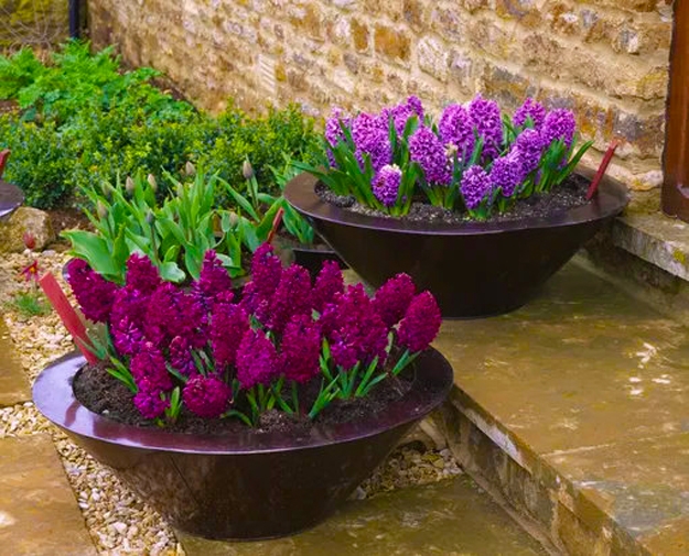 contemporary planters greenery flowering plants yard decorations