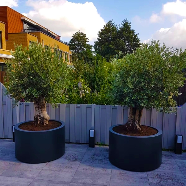 contemporary planters greenery flowering plants yard decorations