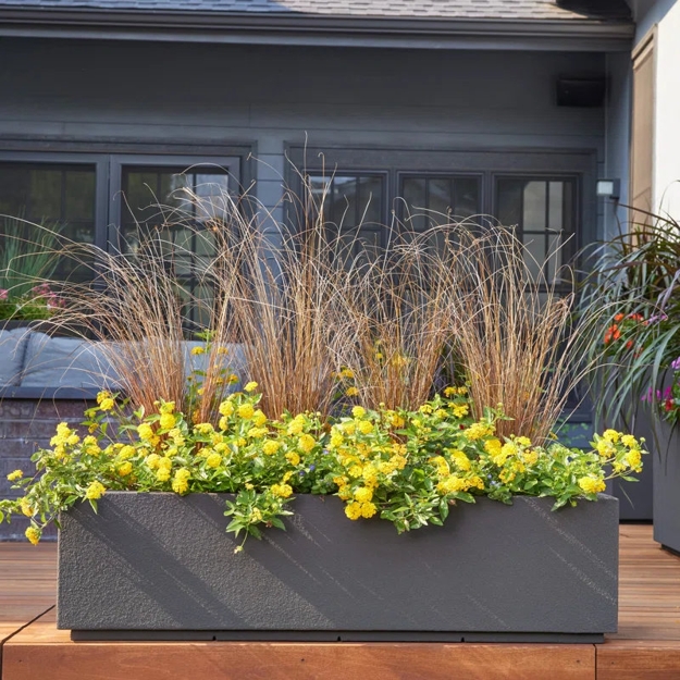 contemporary planters greenery flowering plants yard decorations