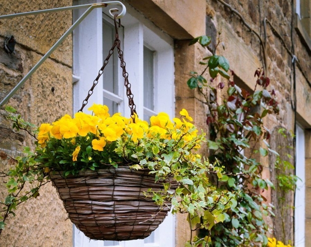 contemporary planters greenery flowering plants yard decorations