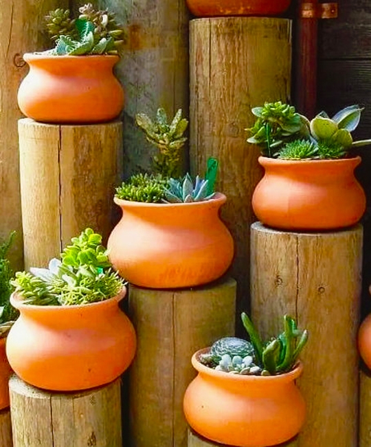 contemporary planters greenery flowering plants yard decorations