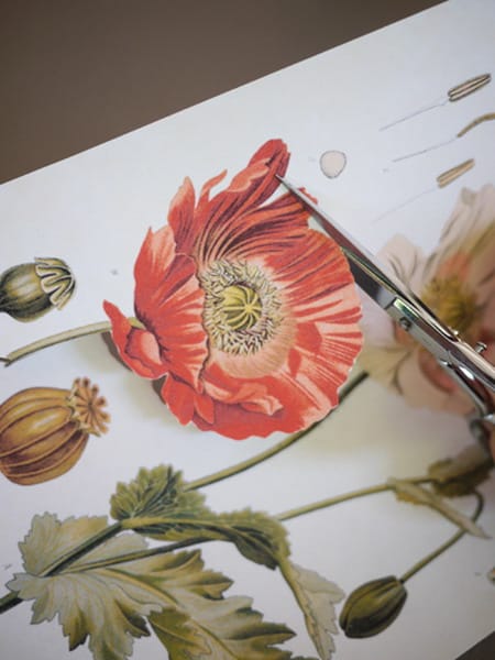 easter eggs decoration