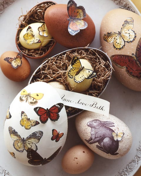 butterfly patterns eggs decoration ideas
