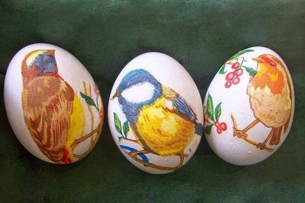 bird images craft eggs