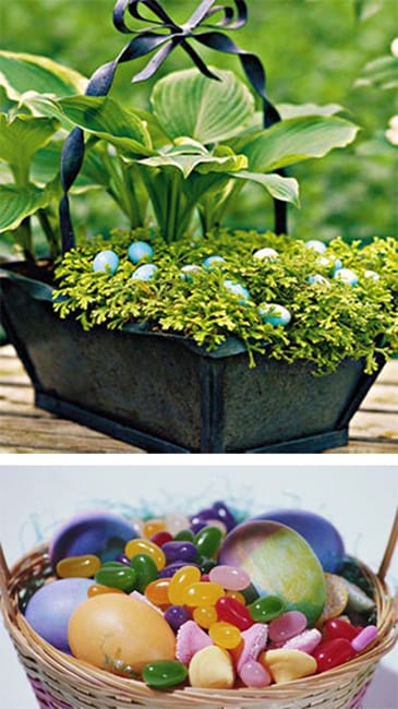 spring holiday baskets ester eggs decorations