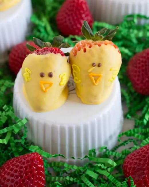 yellow chicks edible decorations