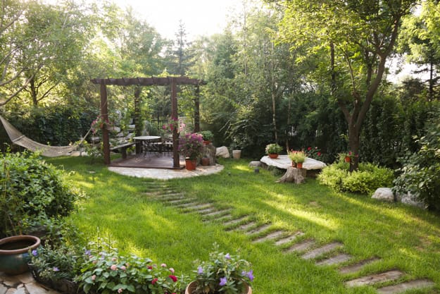 natural yard landscaping