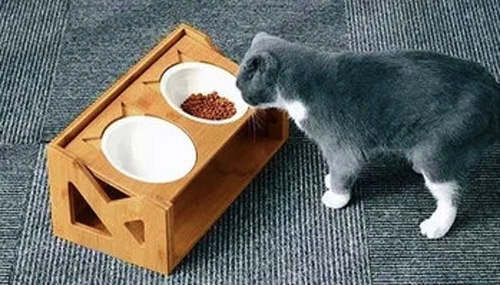 contemporary design cat utility home accents