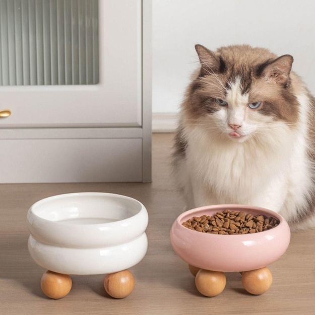 round cat bowls