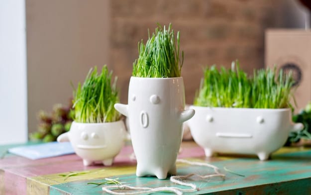 spring decor modern interiors