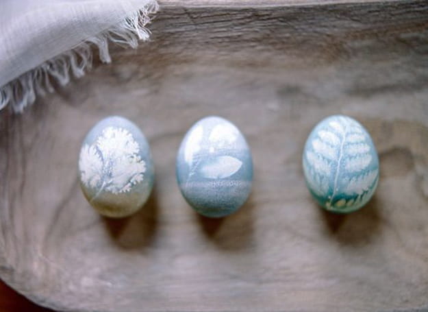 how to naturally dye egg creating leaf flower prints