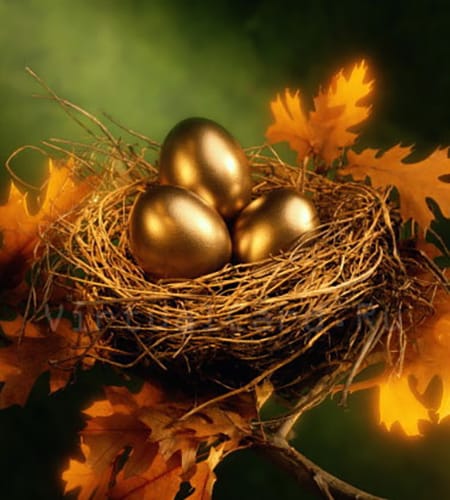 golden eggs nest